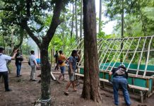 Gerebek Lokasi Sambung Ayam dan Judi Online, Polres Ponorogo Ringkus 12 Orang