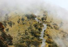 Mendaki Gunung Lawu Saat Haid,Pendaki Perempuan Alami Kejadian Mistis