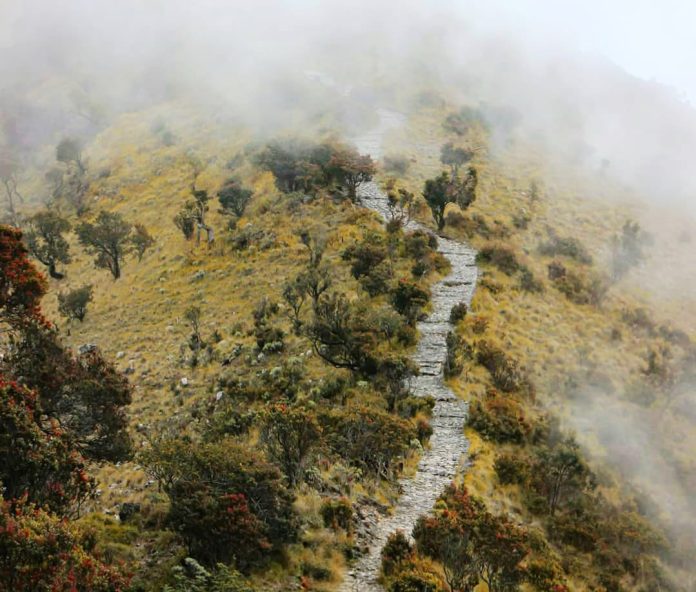 IMG-20260122-WA0321(1)