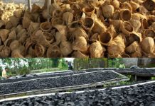 Briket Batok Kelapa: Investasi Usaha Cerdas Menuju Era Energi Baru Terbarukan