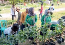 Garap Agrowisata, Desa Rejomulyo Barat Tanam Cavendish dan Alpukat