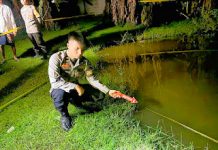 Main Tanpa Pengawasan, 2 Bocah di Ponorogo Tewas Tenggelam di Kolam Blumbang