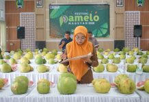 Buru Bibit Unggulan, 131 Peserta Ramaikan Festival Pamelo Magetan
