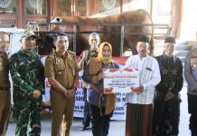 Sapi Kurban Premium Bantuan Presiden Prabowo Disembelih di Masjid Tegalsari