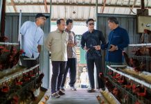 DPR Minta BGN Jamin Serapan Telur untuk MBG