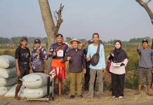 Cek Langsung ke Sawah, Riyono Sebut Harga Gabah Kini Bikin Petani Tersenyum
