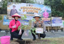 Mapolres Magetan Ditanami 80 Pohon Tabebuya