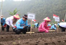 Magetan Kejar Swasembada Bawang Putih