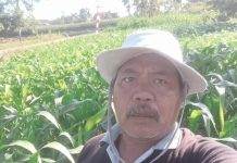 Petani Magetan Kelimpungan Cari Pupuk Subsidi, MT 3 Baru Disalurkan September