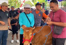 Hadiah Sapi dan 11 Kambing Bikin Warga Sambirobyong Antusias Ikuti Jalan Sehat
