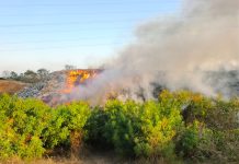 TPA Milangasri Magetan Terbakar, Api Lahap 1 Hektare Timbunan Sampah
