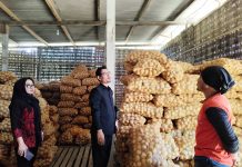 Panen Kentang di Magetan Tersendat, DPRD Sidak Gudang Mitra Indofood