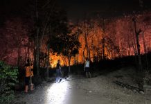 Kebakaran Gunung Bancak, 5 Hektare Lahan Terbakar
